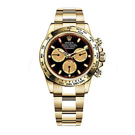 Rolex Cosmograph Daytona 40mm 18K Gold Stick Black Champagne Dial Watch