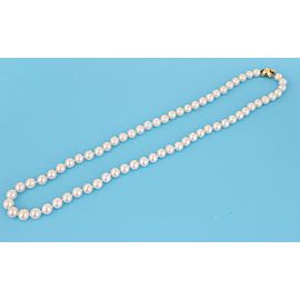 Tiffany & Co. Signature 6.5mm Pearls 18k Yellow Gold Clasp Necklace