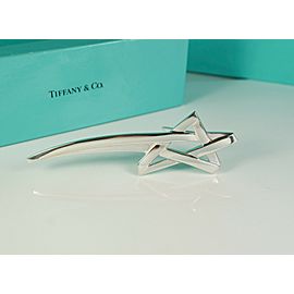 Tiffany & Co. Paloma Picasso Silver Shooting Star Large Brooch Pin- RETIRED