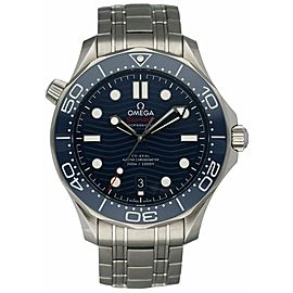 Omega Seamaster Professional 210.30.42.20.03.001 Mens Watch