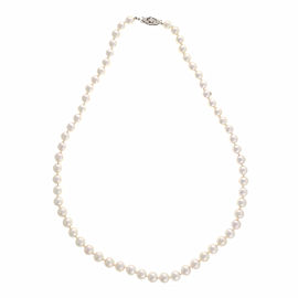 14k White Gold Akoya Cultured Pearl Necklace