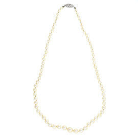 14K White Gold with Pearl Necklace