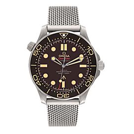 Omega Seamaster Edition Titanium Watch