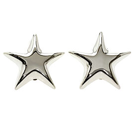 TIFFANY & Co 925 Silver Star motif earring QJLXG-1258