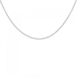 Cartier 18K White Gold Forusa Chain Necklace E0817
