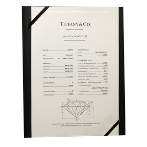 Tiffany & Co. Novo Diamond Engagement Ring in  Platinum 0.55 CTW