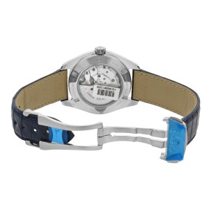 Omega Seamaster Aqua Terra Steel Blue Dial GMT Mens Watch 231.13.43.22.03.001