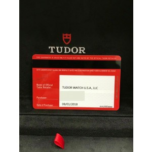 Tudor Heritage Advisor 79620 Titanium and Steel 