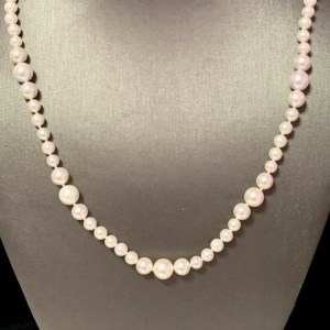 Akoya Pearl Necklace 14k Yellow Gold 19.5" 8.5 mm Certified $3,950 114446