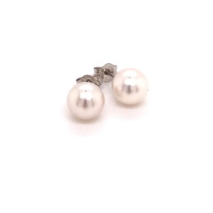 Akoya Pearl Earrings 14k White Gold 6.97 mm Certified $599  