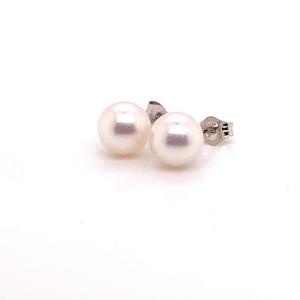 Akoya Pearl Earrings 14k White Gold 6.52 mm Certified $499  
