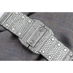 Cartier Santos 100 Stainless Steel Watch Customized with Genuine Diamonds W20073X8