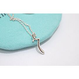 Tiffany & Co Sterling Silver Peretti Small ”r” Initial Necklace Lxmda-499